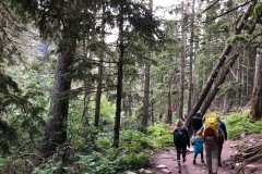 AVALANCE CREEK & LAKE - GLACIER NP