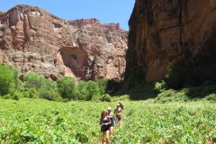 BEAVER FALLS IN HAVASUPAI ARIZONA