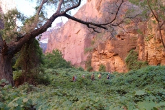 BEAVER FALLS IN HAVASUPAI ARIZONA