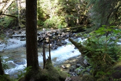 BRANDYWINE FALLS BRITISH COLUMBIA CANADA