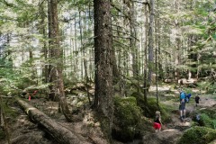 BRANDYWINE FALLS BRITISH COLUMBIA CANADA