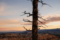 BRYCE CANYON NATIONAL PARK