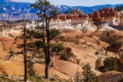 BRYCE CANYON NP