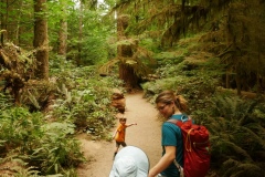 CATHEDRAL GROVE - PORT ALBERNI