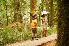 CATHEDRAL GROVE - PORT ALBERNI