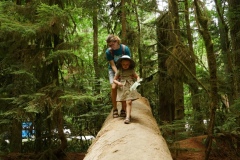 CATHEDRAL GROVE - PORT ALBERNI