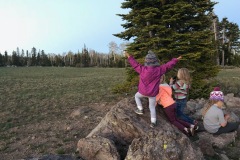 CEDAR BREAKS NATIONAL MONUMENT CAMPSITE