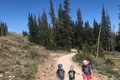 CEDAR BREAKS NATIONAL MONUMENT