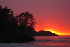 CHESTERMAN BEACH - TOFINO BC