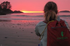 CHESTERMAN BEACH - TOFINO BC