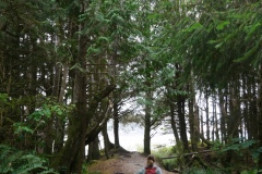 CHESTERMAN BEACH - TOFINO BC