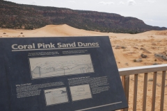 CORAL PINK SAND DUNES