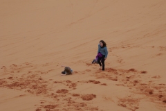 CORAL PINK SAND DUNES