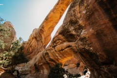 DEVIL GARDENS TRAIL ZION