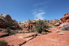 ESCALANTE LOWER FALLS HIKE