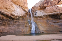 ESCALANTE LOWER FALLS HIKE