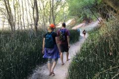 ESCALANTE LOWER FALLS HIKE