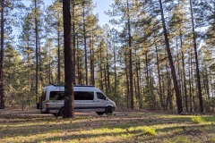 GILA NATIONAL FOREST CAMPING