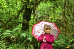 HOH RAIN FOREST