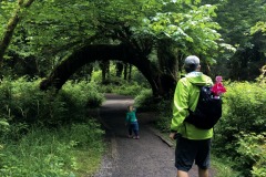 HOH RAIN FOREST