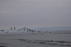 JUAN DE FUCA PROVINCIAL PARK