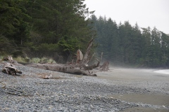 JUAN DE FUCA PROVINCIAL PARK