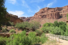 LITTLE NAVAJO FALLS HAVASUPAI ARIZONA