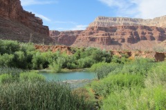 LITTLE NAVAJO FALLS HAVASUPAI ARIZONA