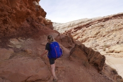 LITTLE WILD HORSE CANYON