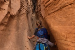 LITTLE WILD HORSE CANYON