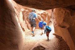 LITTLE WILD HORSE CANYON