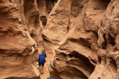 LITTLE WILD HORSE CANYON