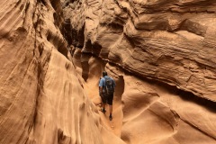 LITTLE WILD HORSE CANYON