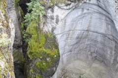Maligne-Canyon-Jasper-National-Park11
