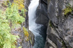 Maligne-Canyon-Jasper-National-Park13