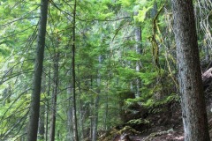 NAIRN FALLS BRITISH COLUMBIA