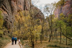 RIVER WALK TRAIL - ZION