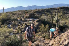 SAGUARO NATIONAL PARK, ARIZONA