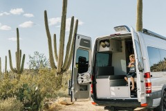 SAGUARO NATIONAL PARK, ARIZONA