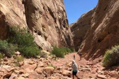 The-Tanks-Hike-Capitol-Reef-National-Park-6