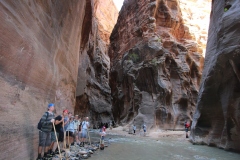 THE NARROWS- ZION