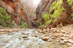 THE NARROWS ZION NP