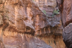 THE NARROWS ZION NP