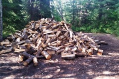 FIREWOOD PILE IN BANFF CAMPGROUND
