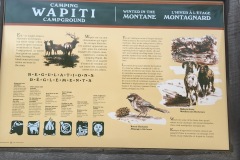 Wapiti Campground